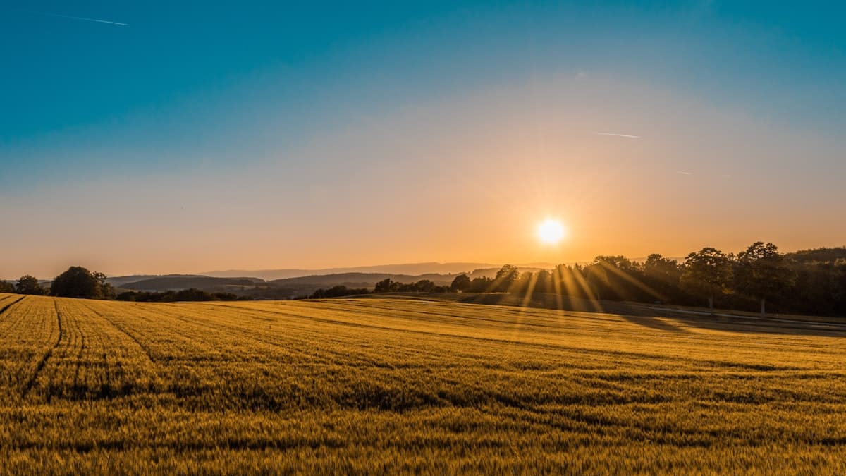 Agriculture Land